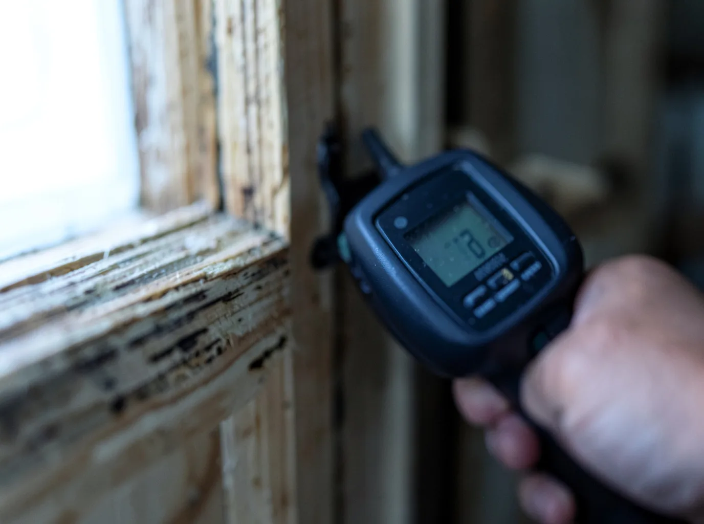 Moisture Inspection And Documentation in Elma, WA